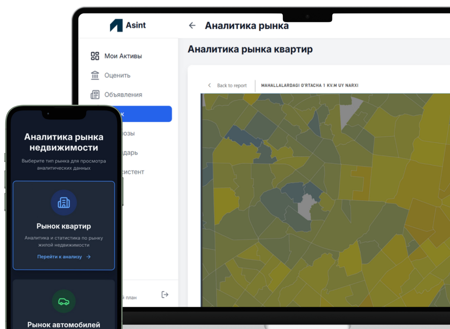 Asint Platform Mockups